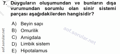 7. soru: Duyguların oluşumundan ve bunların dışa vurumundan sorumlu olan sinir sistemi parçası aşağıdakilerden hangisidir? A)…