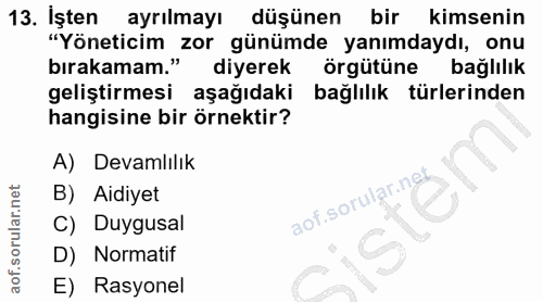 13. soru: İşten ayrılmayı düşünen bir kimsenin "Yöneticim zor günümde yanımdaydı, onu bırakamam." diyerek örgütüne bağlılık gel…