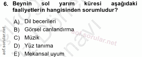 6. soru: Beynin sol yarım küresi aşağıdaki faaliyetlerin hangisinden sorumludur? A) Dil becerileri B) Görsel canlandırma C) Mü…