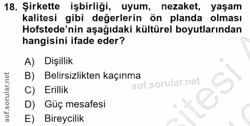18. soru: Şirkette işbirliği, uyum, nezaket, yaşam kalitesi gibi değerlerin ön planda olması Hofstede'nin aşağıdaki kültürel bo…