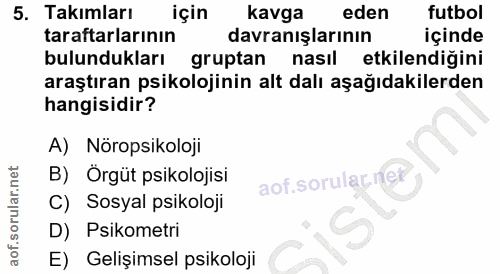 5. soru: Takımları için kavga eden futbol taraftarlarının davranışlarının içinde bulundukları gruptan nasıl etkilendiğini araş…
