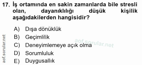 17. soru: İş ortamında en sakin zamanlarda bile stresli dayanıklılığı düşük kişilik olan, aşağıdakilerden hangisidir? A) Dışa d…