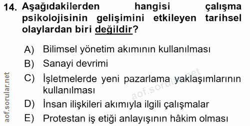 14. soru: Aşağıdakilerden hangisi çalışma psikolojisinin gelişimini etkileyen tarihsel olaylardan biri değildir? A) Bilimsel yö…