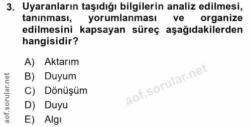 3. soru: Uyaranların taşıdığı bilgilerin analiz edilmesi, tanınması, yorumlanmasıve organize edilmesini kapsayan süreç aşağıda…