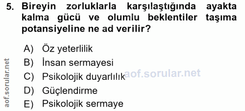 5. soru: Bireyin zorluklarla karşılaştığında ayakta kalma gücü ve olumlu beklentiler taşıma potansiyeline ne ad verilir? A) Öz…