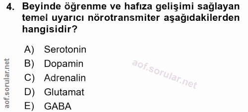 4. soru: Beyinde öğrenme ve hafıza gelişimi sağlayan temel uyarıcı nörotransmiter aşağıdakilerden hangisidir? A) Serotonin B)…