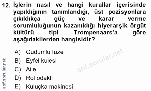 12. soru: İşlerin nasıl ve hangi kurallar içerisinde yapıldığının tanımlandığı, üst pozisyonlara çıkıldıkça güç ve karar verme…