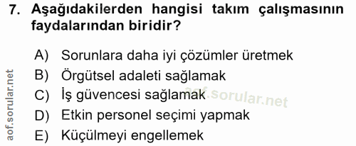 7. soru: Aşağıdakilerden hangisi takım çalışmasının faydalarından biridir? A) Sorunlara daha iyi çözümler üretmek B) Örgütsel…