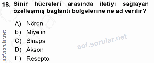 18. soru: Sinir hücreleri arasında iletiyi sağlayan özelleşmiş bağlantı bölgelerine ne ad verilir? A) Nöron B) Miyelin C) Sinap…