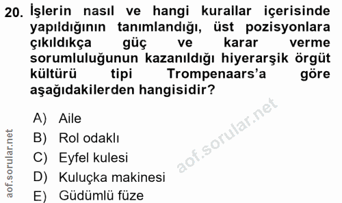 20. soru: İşlerin nasıl ve hangi kurallar içerisinde yapıidığının tanımlandığı, üst pozisyonlara çıkıldıkça güç ve karar verme…