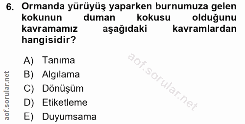 6. soru: Ormanda yürüyüş yaparken burnumuza gelen kokunun duman kokusu olduğunu kavramamız aşağıdaki kavramlardan hangisidir?…