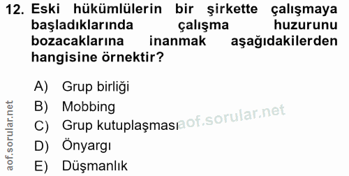 12. soru: Eski hükümlülerin bir şirkette çalışmaya başladıklarında çalışma huzurunu bozacaklarına inanmak aşağıdakilerden hangi…