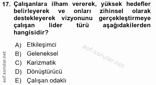 17. soru: Çalışanlara ilham vererek, yüksek hedefler belirleyerek ve onları zihinsel olarak destekleyerek vizyonunu gerçekleşti…