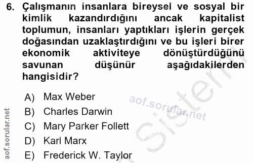 6. soru: Çalışmanın insanlara bireysel ve sosyal bir Kimlik kazandırdığını ancak kapitalist toplumun, insanları yaptıkları işl…