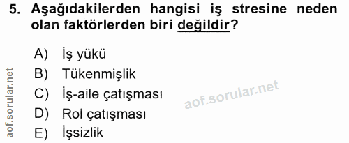 5. soru: Aşağıdakilerden hangisi iş stresine neden olan faktörlerden biri değildir? A) İş yükü B) Tükenmişlik C) Iş-aile çatış…