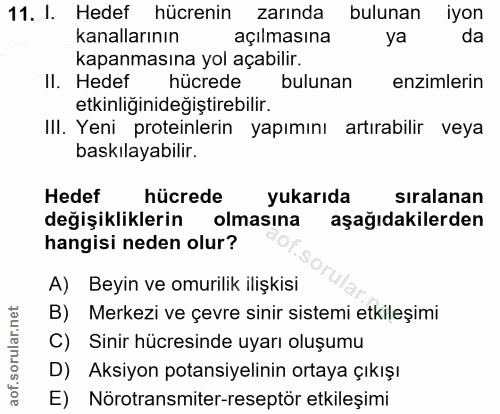 11. soru: I. Hedef hücrenin zarında bulunan iyon kanallarının açılmasına da kapanmasına yol açabılir. Il. Hedef hücrede bulunan…
