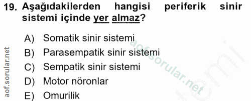 19. soru: Aşağıdakilerden hangisi periferik sinir sistemi içinde yer almaz? A) Somatik sinir sistemi B) Parasempatik sinir sist…