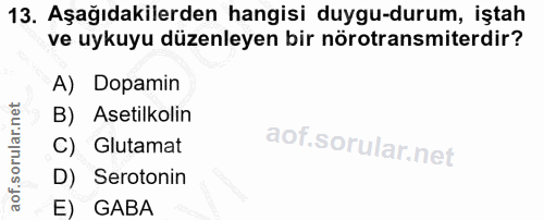 13. soru: Aşağıdakilerden hangisi duygu-durum, iştah ve uykuyu düzenleyen bir nörotransmiterdir? A) Dopamin B) Asetilkolin C) G…