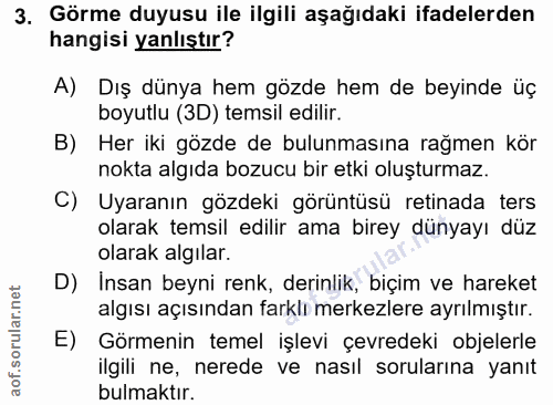 3. soru: Görme duyusu ile ilgili aşağıdaki ifadelerden hangisi yanlıştır? A) Dış dünya hem gözde hem de beyinde üç boyutlu (3D…