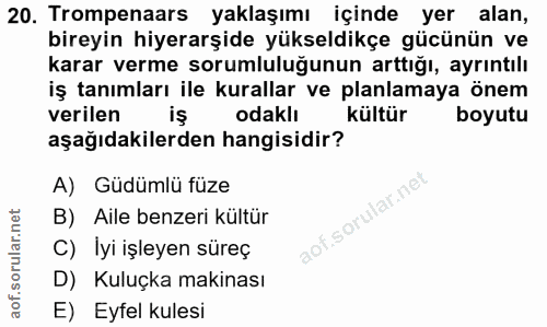 20. soru: Trompenaars yaklaşımı içinde yer alan, bireyin hiyerarşide yükseldikçe gücünün ve karar verme sorumluluğunun arttığı,…
