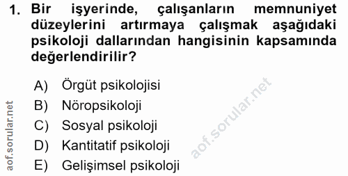 1. soru: Bir işyerinde, çalışanların memnuniyet düzeylerini artırmaya çalışmak aşağıdaki psikoloji dallarından hangisinin kaps…