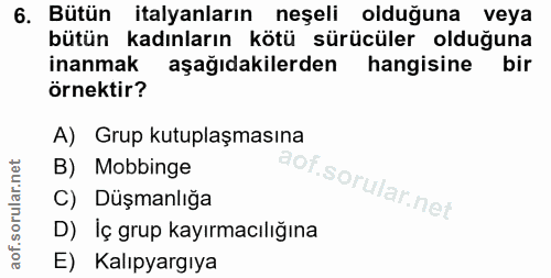 6. soru: Bütün italyanların neşeli olduğuna veya bütün kadınların kötü sürücüler olduğuna inanmak aşağıdakilerden hangisine bi…