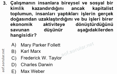 3. soru: Çalışmanın insanlara bireysel ve sosyal bir kimlik kazandırdığını ancak kapitalist toplumun, insanları yaptıkları işl…