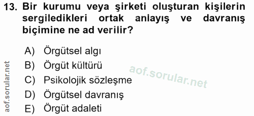 13. soru: Bir kurumu veya şirketi oluşturan kişilerin sergiledikleri ortak anlayış ve davranış biçimine ne ad verilir? A) Örgüt…