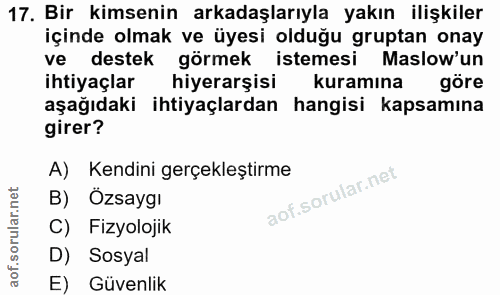 17. soru: Bir kimsenin arkadaşlarıyla yakın ilişkiler içinde olmak ve üyesi olduğu gruptan onay ve destek görmek istemesi Maslo…