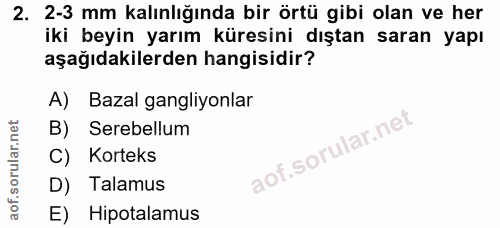 2. soru: 2-3 mm kalınlığında bir örtü gibi olan ve her iki beyin yarım küresini dıştan saran yapı aşağıdakilerden hangisidir?…