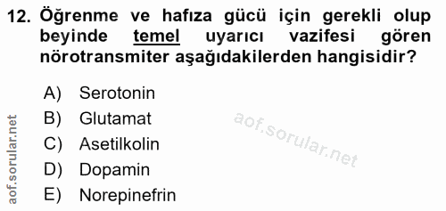 12. soru: Öğrenme ve hafıza gücü için gerekli olup beyinde temel uyarıcı vazifesi gören nörotransmiter aşağıdakilerden hangisid…