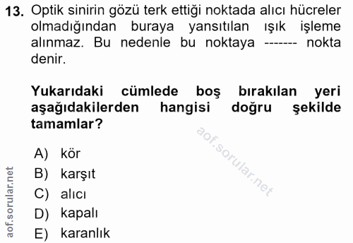13. soru: Optik sinirin gözü terk ettiği noktada alıcı hücreler olmadığından buraya yansıtılan ışık işleme alınmaz. Bu nedenle…