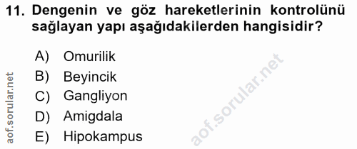 11. soru: Dengenin ve göz hareketlerinin kontrolünü sağlayan yapı aşağıdakilerden hangisidir? A) Omurilik B) Beyincik Gangliyon…