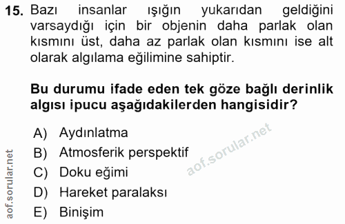 15. soru: Bazı insanlar Işığın yukarıdan geldiğini varsaydığı için bir objenin daha parlak olan kısmını üst, daha az parlak ola…