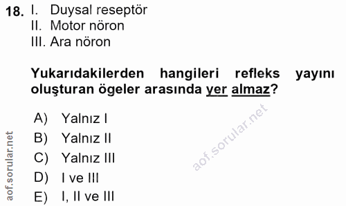 18. soru: 1. Duysal reseptör II. Motor nöron III. Ara nöron Yukarıdakilerden hangileri refleks yayını oluşturan ögeler arasında…
