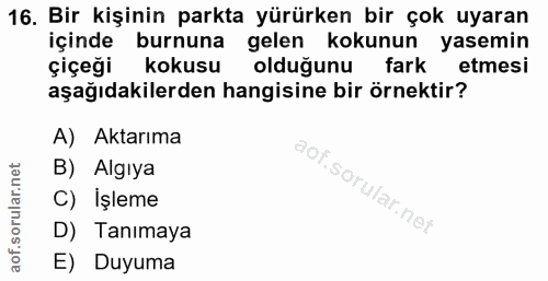 16. soru: Bir kişinin parkta yürürken bir çok uyaran içinde burnuna gelen kokunun yasemin çiçeği kokusu olduğunu fark etmesi aş…