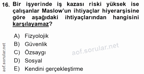 16. soru: Bir işyerinde iş kazası riski yüksek ise çalışanlar Maslow'un ihtiyaçlar hiyerarşisine göre aşağıdaki ihtiyaçlarından…
