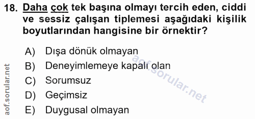 18. soru: Daha çok tek başına olmayı tercih eden, ciddi ve sessiz çalışan tiplemesi aşağıdaki kişilik boyutlarından hangisine b…