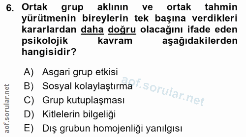 6. soru: Ortak grup aklının ve ortak tahmin yürütmenin bireylerin tek başına verdikleri kararlardan daha doğru olacağını ifade…