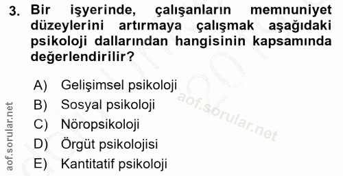 3. soru: Bir işyerinde, çalışanların memnuniyet düzeylerini artırmaya çalışmak aşağıdaki psikoloji dallarından hangisinin kaps…