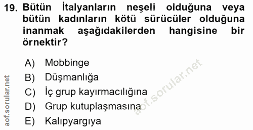 19. soru: Bütün İtalyanların neşeli olduğuna veya bütün kadınların kötü sürücüler olduğuna inanmak aşağıdakilerden hangisine bi…