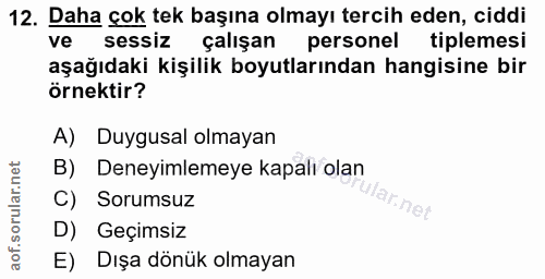 12. soru: Daha çok tek başına olmayı tercih eden, ciddi ve sessiz çalışan personel tiplemesi aşağıdaki kişilik boyutlarından ha…