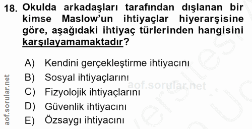 18. soru: Okulda arkadaşları tarafından dışlanan bir kimse Maslow'un ihtiyaçlar hiyerarşisine göre, aşağıdaki ihtiyaç türlerind…