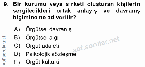 9. soru: Bir kurumu veya şirketi oluşturan kişilerin sergiledikleri ortak anlayış ve davranış biçimine ne ad verilir? A) Orgüt…