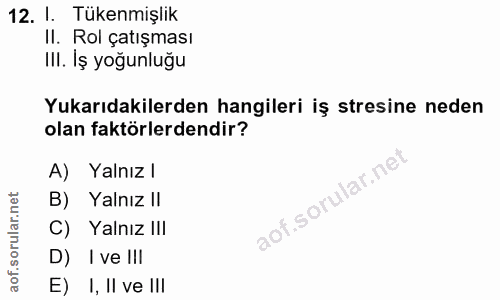 12. soru: 1. Tükenmişlik II. Rol çatışması III. İş yoğunluğu Yukarıdakilerden hangileri iş stresine neden olan faktörlerdendir?…
