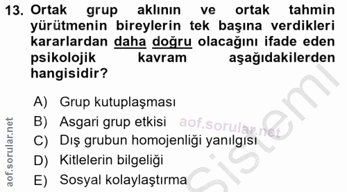 13. soru: Ortak grup aklının ve ortak tahmin yürütmenin bireylerin tek başına verdikleri kararlardan daha doğru olacağını ifade…