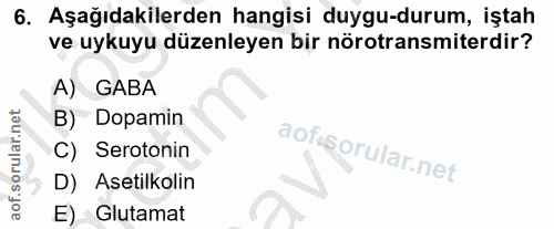 6. soru: Aşağıdakilerden hangisi duygu-durum, iştah ve uykuyu düzenleyen bir nörotransmiterdir? A) GABA B) Dopamin aofs C) Ser…