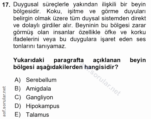 17. soru: Duygusal süreçlerle yakından ilişkili bir beyin bölgesidir. Koku, işitme ve görme duyuları belirgin olmak üzere tüm d…