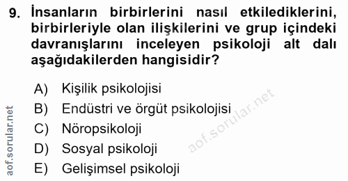 9. soru: İnsanların birbirlerini nasıl etkilediklerini, birbirleriyle olan ilişkilerini ve grup içindeki davranışlarını incele…
