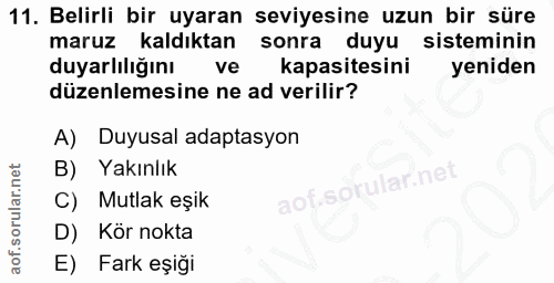 11. soru: Belirli bir uyaran seviyesine uzun bir süre maruz kaldıktan sonra duyu sisteminin duyarlılığını ve kapasitesini yenid…